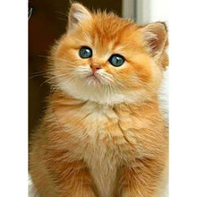 将图片加载到图库查看器,DIY Cat 5D Diamond Painting Full Square Drill Cross Stitch Animal Embroidery Rhinestone Cross Stitch Wall Art Gift Home Decor