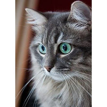 将图片加载到图库查看器,DIY Cat 5D Diamond Painting Full Square Drill Cross Stitch Animal Embroidery Rhinestone Cross Stitch Wall Art Gift Home Decor