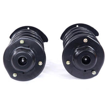 将图片加载到图库查看器,2pcs Iron Shock Absorber Assembly Black 172130R-172130L