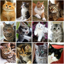 将图片加载到图库查看器,DIY Cat 5D Diamond Painting Full Square Drill Cross Stitch Animal Embroidery Rhinestone Cross Stitch Wall Art Gift Home Decor