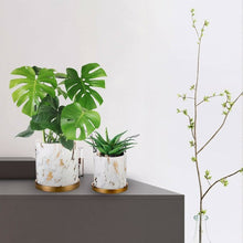 将图片加载到图库查看器,Ceramic flowerpot with drain hole and tray, marble pattern, ceramic flowerpot with drain hole, for meat plants / plants / flowers