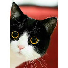 将图片加载到图库查看器,DIY Cat 5D Diamond Painting Full Square Drill Cross Stitch Animal Embroidery Rhinestone Cross Stitch Wall Art Gift Home Decor