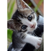 将图片加载到图库查看器,DIY Cat 5D Diamond Painting Full Square Drill Cross Stitch Animal Embroidery Rhinestone Cross Stitch Wall Art Gift Home Decor