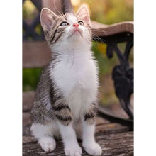 将图片加载到图库查看器,DIY Cat 5D Diamond Painting Full Square Drill Cross Stitch Animal Embroidery Rhinestone Cross Stitch Wall Art Gift Home Decor