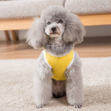 将图片加载到图库查看器，Dog vest summer teddy bear puppies pups small and medium-sized dog summer pet clothes  dog costume  pet clothes
