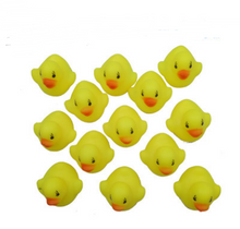 将图片加载到图库查看器，Swimming in summer, duck in small water, duck in a single price.
