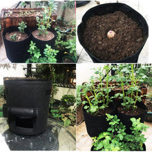 将图片加载到图库查看器，3 size Plant Grow Bags home garden Potato pot greenhouse Vegetable Growing Bags Moisturizing jardin Vertical Garden Bag seedling
