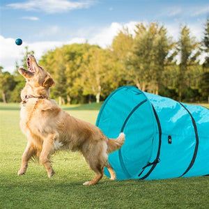 18' Agility Training Tunnel Pet Dog Play Outdoor Obedience Exercise Equipment Blue