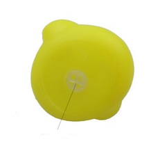 将图片加载到图库查看器，Swimming in summer, duck in small water, duck in a single price.
