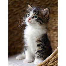 将图片加载到图库查看器，DIY Cat 5D Diamond Painting Full Square Drill Cross Stitch Animal Embroidery Rhinestone Cross Stitch Wall Art Gift Home Decor
