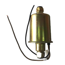 将图片加载到图库查看器，12V Electric Fuel Pump 63-E8012S
