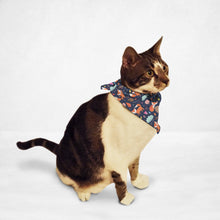 将图片加载到图库查看器，Foxy Fall Cat &amp; Dog Bandana
