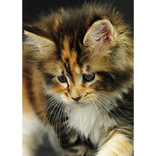将图片加载到图库查看器，DIY Cat 5D Diamond Painting Full Square Drill Cross Stitch Animal Embroidery Rhinestone Cross Stitch Wall Art Gift Home Decor
