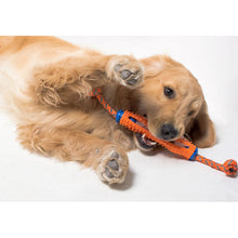 将图片加载到图库查看器，Pet Dog Toothbrush Chew Toy Doggy Brush Stick Soft Rubber Teeth Cleaning Toothpaste for Dogs Pets Effective Dog Toothbrush Toys
