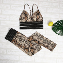 将图片加载到图库查看器，Fitness Two Piece set Women Mesh Patchwork Leggings Tracksuit Sporty Bra Outfit Workout Sporty Suit
